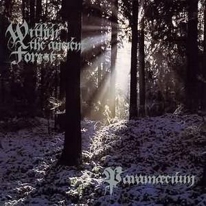 Within The Ancient Forest by Paramaecium  | CD Reviews And Information | NewReleaseToday
