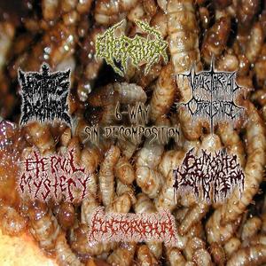 6-way Sin Decomposition split by Vomitorial Corpulence  | CD Reviews And Information | NewReleaseToday