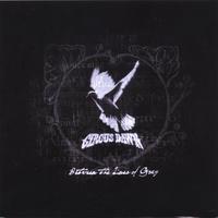 Between The Lines of Gray by Circus Dawn  | CD Reviews And Information | NewReleaseToday