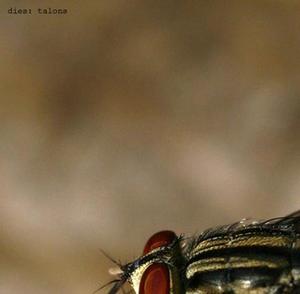 Talons by DIES  | CD Reviews And Information | NewReleaseToday
