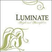 Bright And Beautiful - EP by Luminate  | CD Reviews And Information | NewReleaseToday