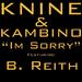 I'm Sorry - Single