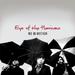 "Eye of the Hurricane" by Me In Motion