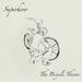 The Bicycle Thieves