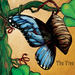 The Vine