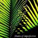 Shades of Imperfection EP