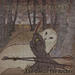 The Owl in the Archer