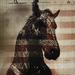 Live Horses  EP
