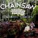 "Chainsaw (f/ Tedashii)" by FF5 (formerly Family Force 5)