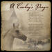 A Cowboy's Prayer