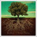 Roots of Worship