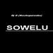 SOWELU