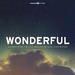 Wonderful - Worship From the 2013 Vineyard National Conference, Vol. 1 (Live)