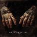 "My Dear" by Matty Mullins