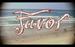 Single: Favor