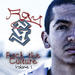 Rock The Culture, Vol. 1