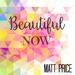 Beautiful Now - Single