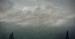 Into the Sea