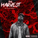 The Harvest