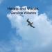 "Hearts and Voices" by Caroline Willshire