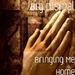 Bringing Me Home - Single