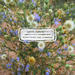Everything Has Changed - EP