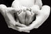 Choose Me