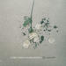 Laid Low EP