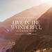 Live in the Wonderful - Single