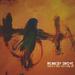 "Resuscitate" by Remedy Drive