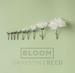Bloom (Radio Version) (Single)