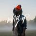 Way Up - Single