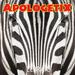 Zebraic