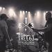 Unfinished Dream (Songs From The Sunday Sessions) EP