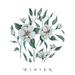 Winter - Single