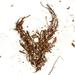 "Ribcage" by Demon Hunter