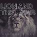 "Lion and The Lamb" by Brenton Brown