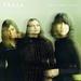 Holy Collision (Single)