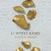 Fool's Gold (Single)