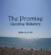 The Promise