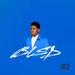 2 BLSD