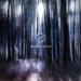 "Beyond Here" by Salt Of The Sound