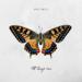 All Things New (single)