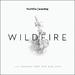 Wildfire (Live Worship From New Wine 2015)