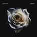 Testify (Single)