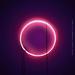 Neon: A Somewhat Adamant Sequel