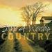 Songs 4 Worship Country
