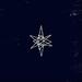 Following the Star (Single)