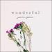 Wonderful (Single)