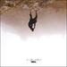 In The Grey / The Place (Single)